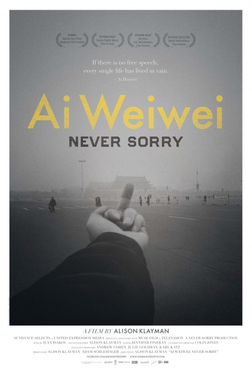 ai_weiwei_never_sorry